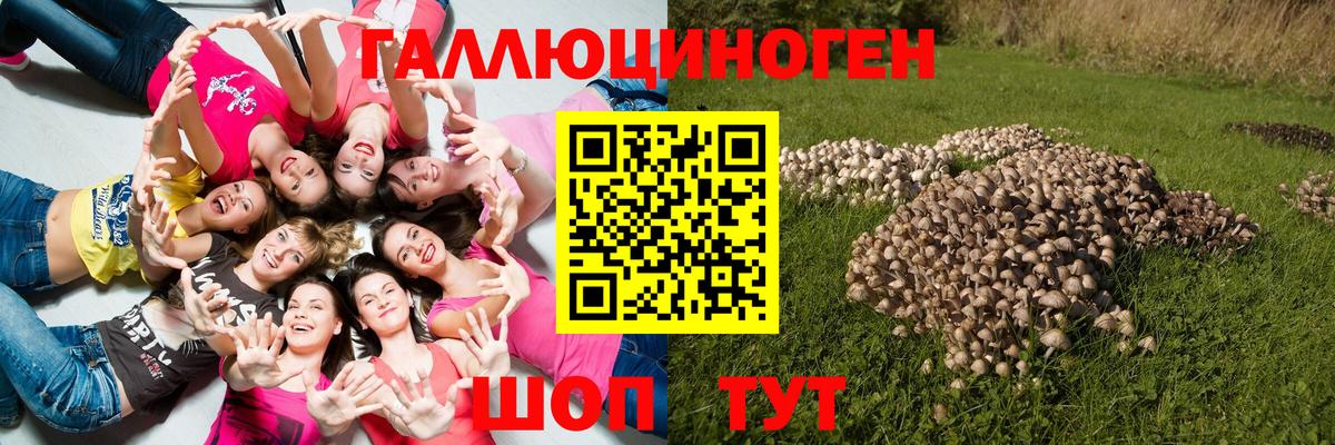 Галлюциногенные грибы мицелий Артём